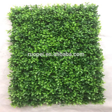 Plastic Material and plants wall Plant Type panel